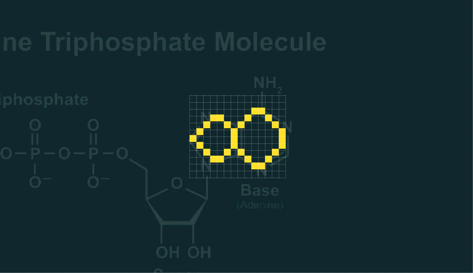 Final Second Nature logo derived from the Adenine base of the ATP molecule