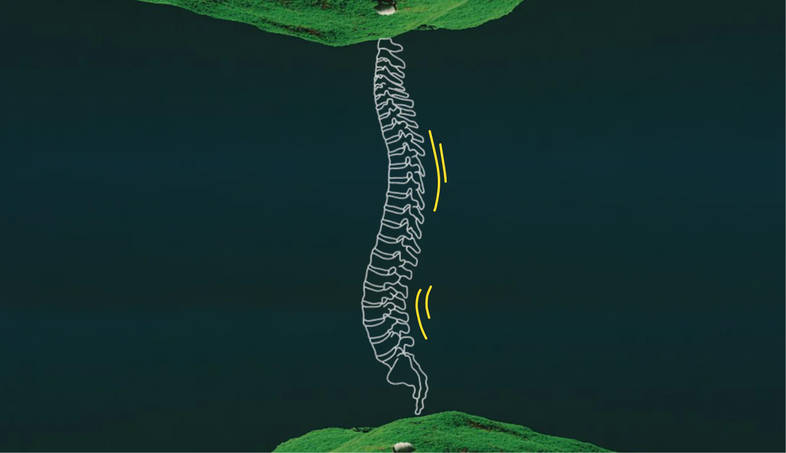 Illustration of the spine carrying electrical signals through the nervous system